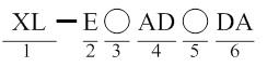 XL-ADDA.jpg